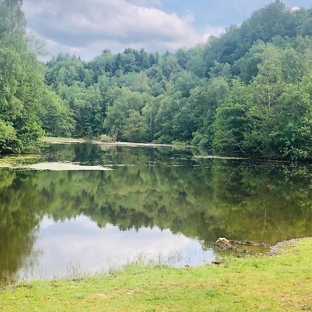 Langenbach bei KirburgGemuetliche Fewo Naehe Hachenburg, Bad Marienbergアパートメント エクステリア 写真