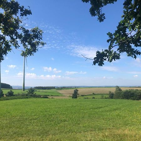 Langenbach bei KirburgGemuetliche Fewo Naehe Hachenburg, Bad Marienbergアパートメント エクステリア 写真