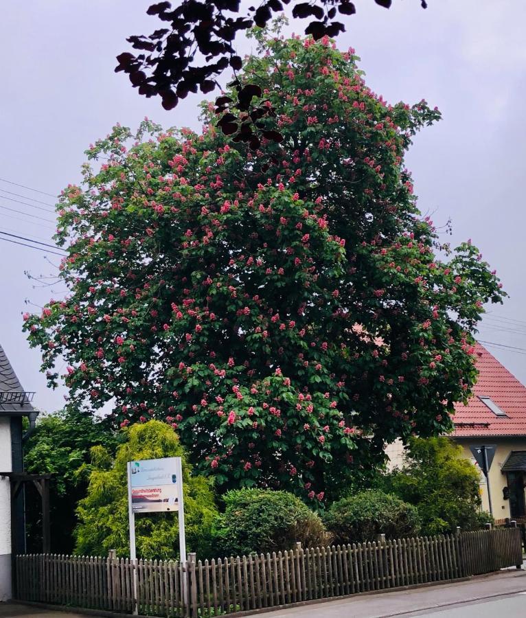 Langenbach bei KirburgGemuetliche Fewo Naehe Hachenburg, Bad Marienbergアパートメント エクステリア 写真